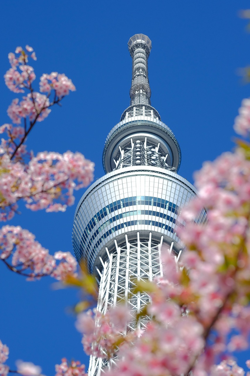スカイツリー周辺のレストランでおすすめのデートスポットは？