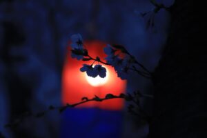 銀座で楽しむ夜景を堪能できるディナーに最適なデートスポットは？