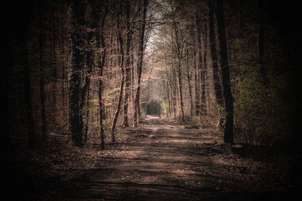 新宿で見つける静かなカフェのおすすめは？