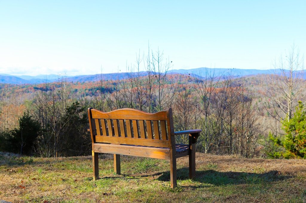 青山で楽しむおしゃれなランチスポットは？