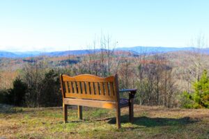 青山で楽しむおしゃれなランチスポットは？