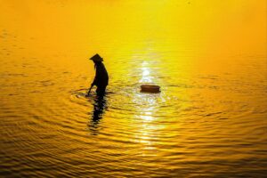 新宿でオシャレなディナーを楽しむためのおすすめレストランは？