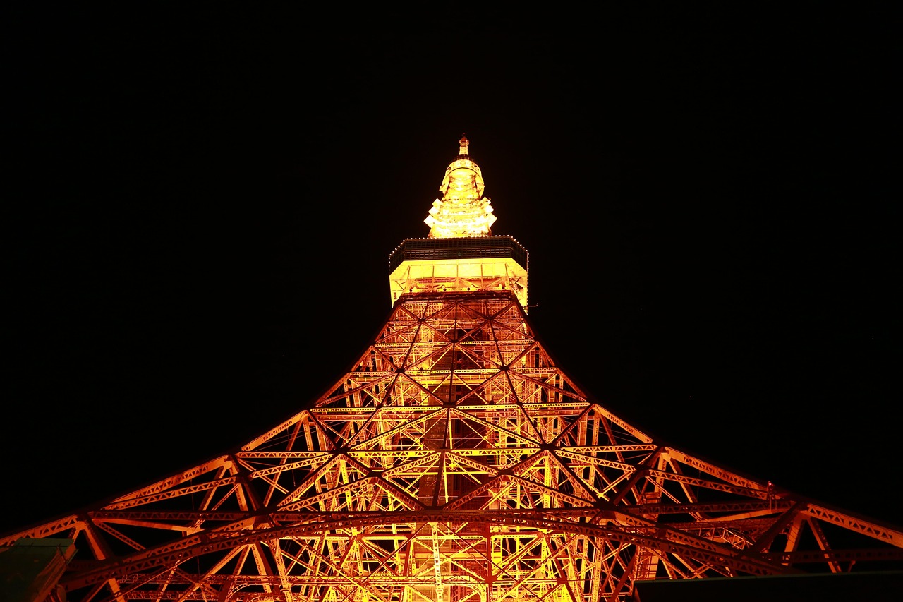 東京タワーディナーで楽しむ夜景の魅力は？