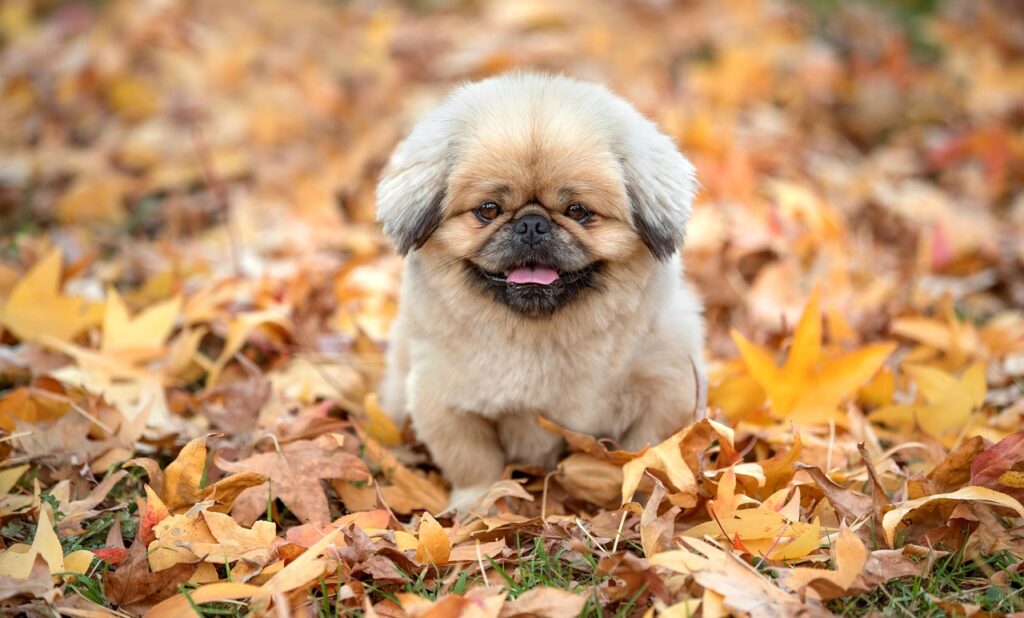 新宿での告白に最適なスポットはどこ？