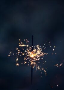 東京湾での誕生日クルーズディナーはどれがおすすめ？